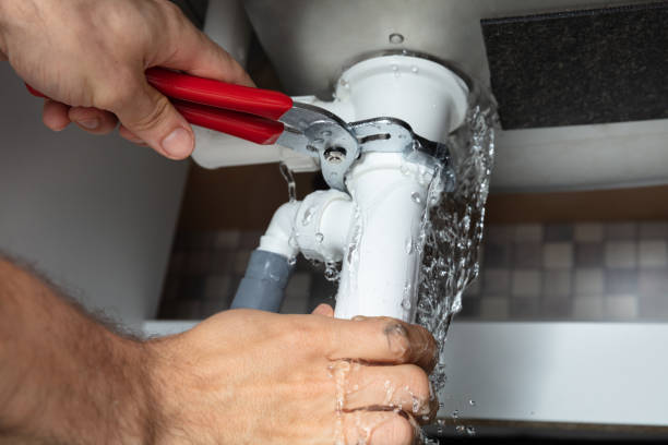 Best Mold removal after water damage  in Vla Grove, IL