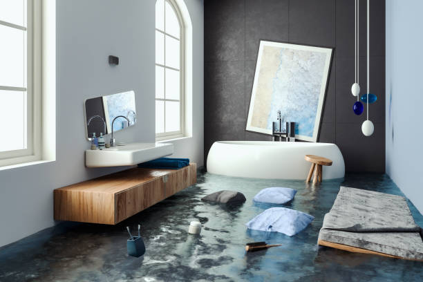 Best Water damage restoration near me  in Vla Grove, IL