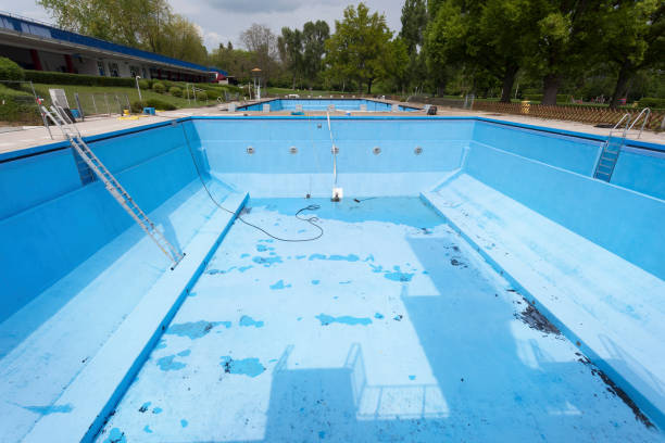 Best Professional water damage repair  in Vla Grove, IL