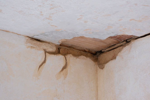 Best Water damage restoration near me  in Vla Grove, IL