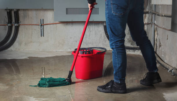 Best Water damage contractors near me  in Vla Grove, IL