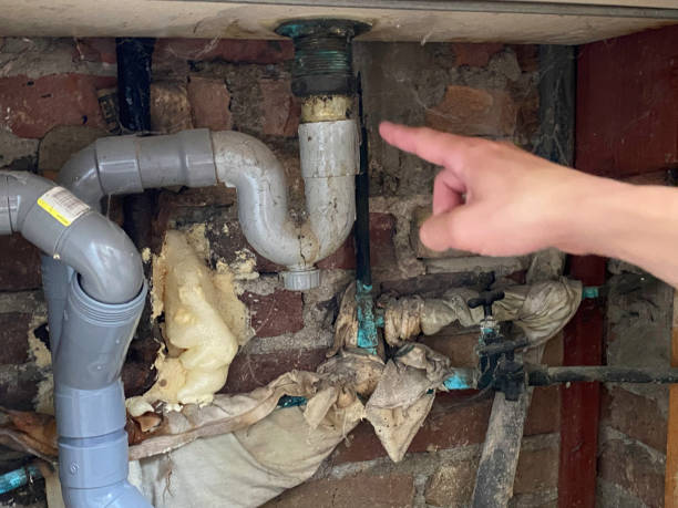 Best Sewage cleanup and water damage restoration  in Vla Grove, IL