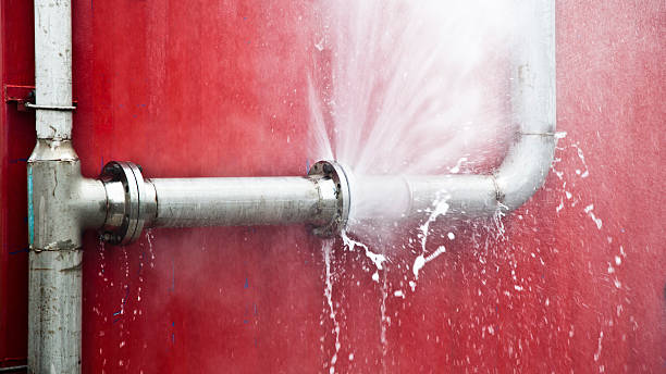 Best Water damage restoration company  in Vla Grove, IL